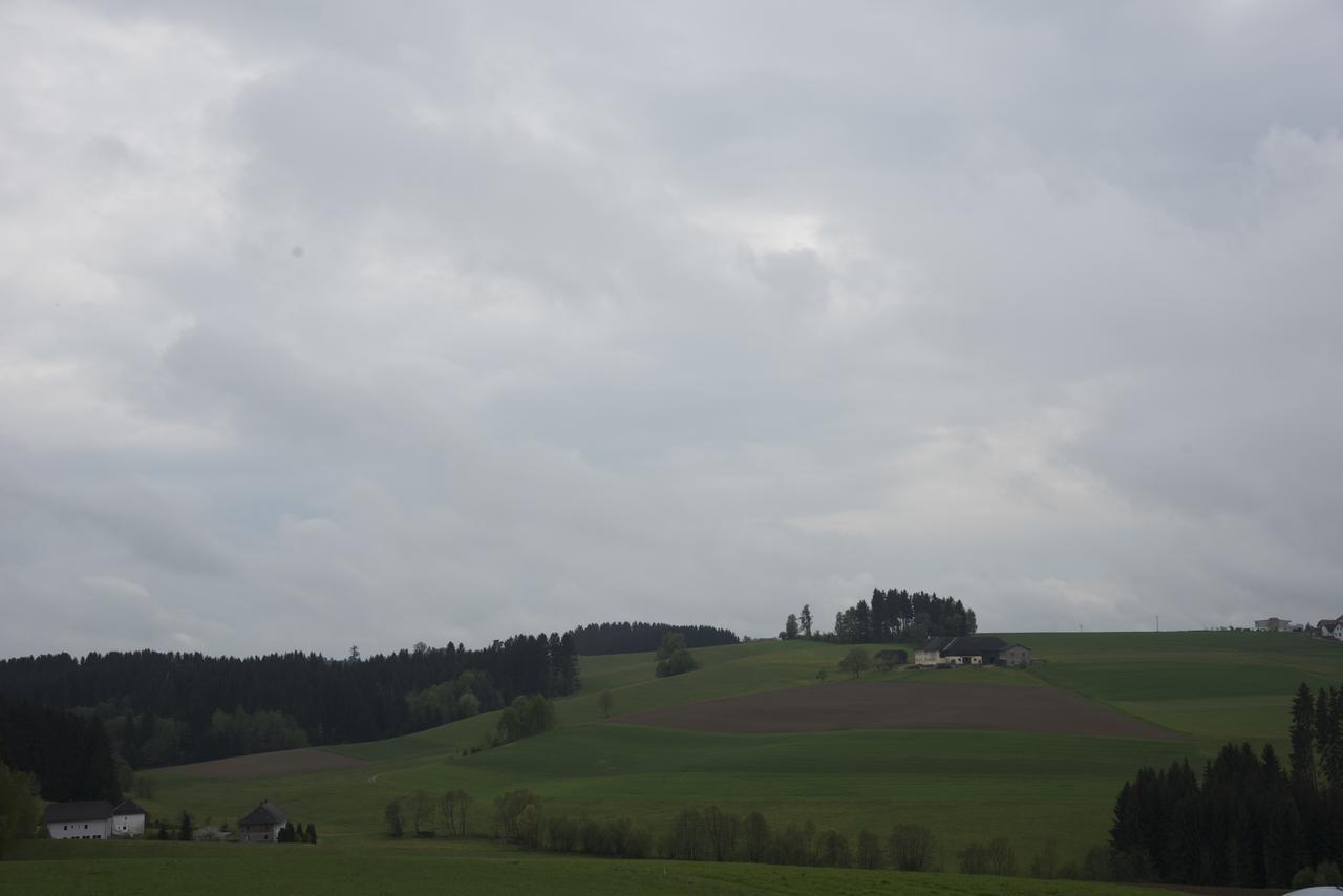 מלון Sankt Ulrich im Mühlkreis Langs Wirtshaus מראה חיצוני תמונה